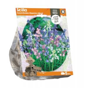 Baltus Scilla Hispanica Mixed Sterhyacinth bloembollen per 5 stuks